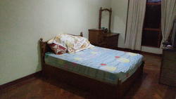 Yong Seng Estate (D14), Terrace #123267822